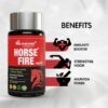 Horse Fire Tablets for Men – Boost Stamina, Energy & Performance, A R Ayurveda Horse Fire Tablets for Men - Image 3