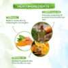 Mamaearth Ultra Light Sunscreen SPF 50 | Carrot Seed & Turmeric | Broad Spectrum Protection | No White Cast | 80g - Image 5