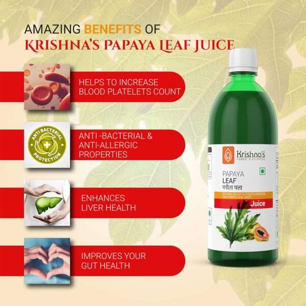 Krishna's Papaya Leaf Juice 500ml – Fresh Leaves to Help Boost Platelet Count - Image 4