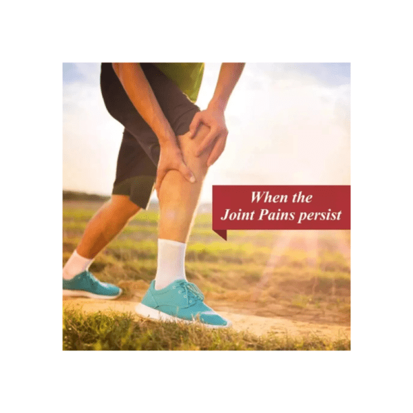 Baidyanath Mahanarayan Taila for Joint Muscular Pain Relief Oil - Image 2