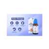 SBL Drops No. 5 - Image 5