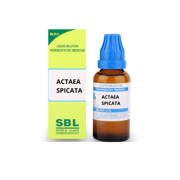 SBL Actaea Spicata Dilution
