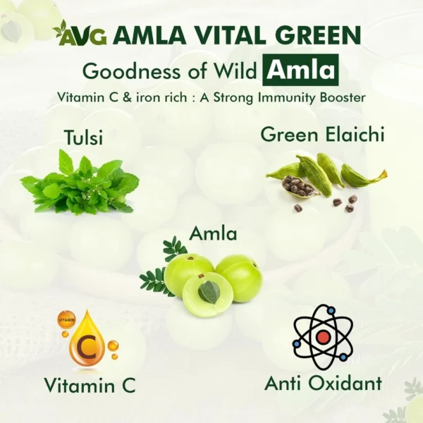 AVG Amla Vital Green with Vitamin C & Iron Juice to Build Immunity, 1L - Image 5